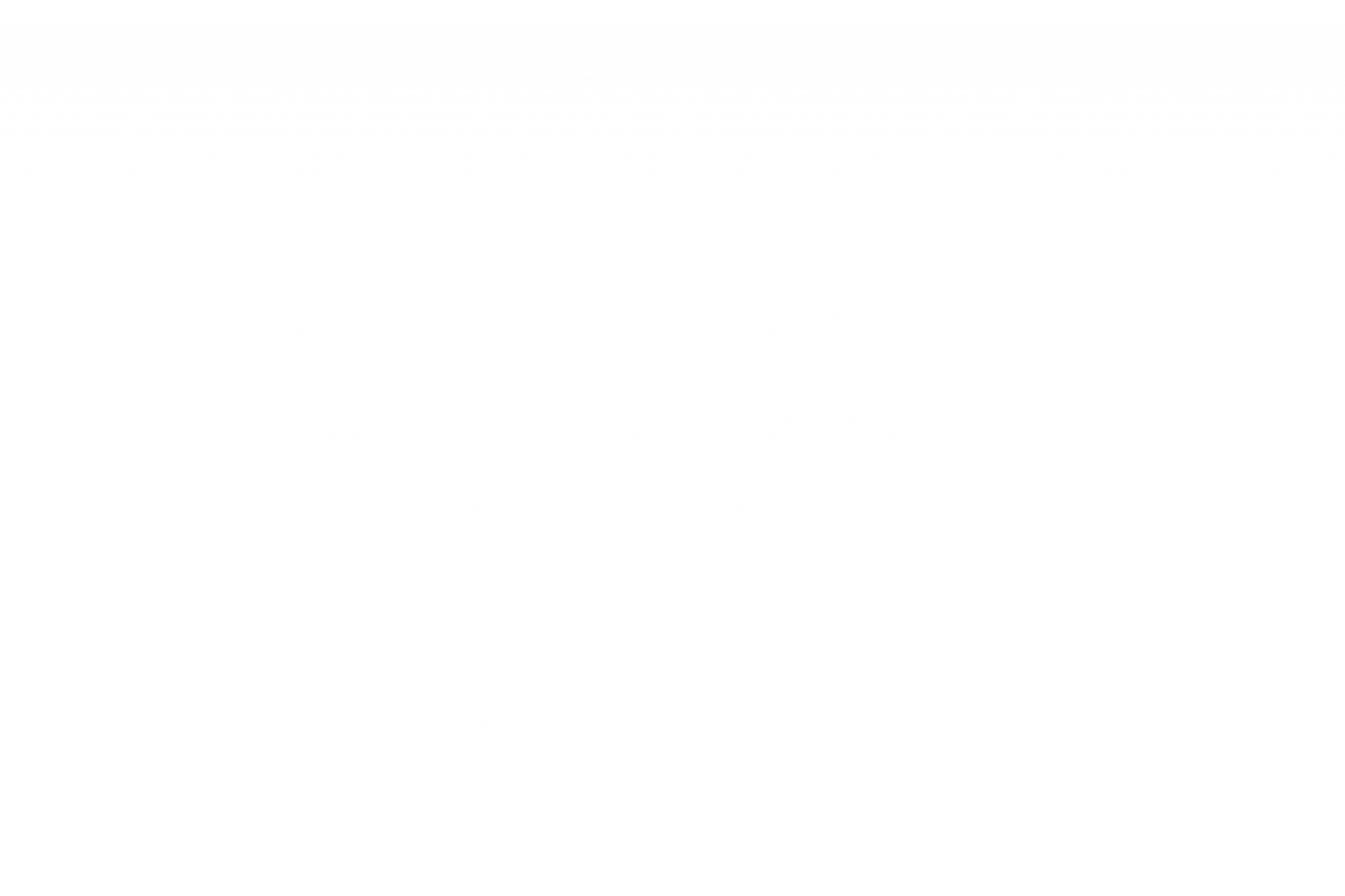 light logo